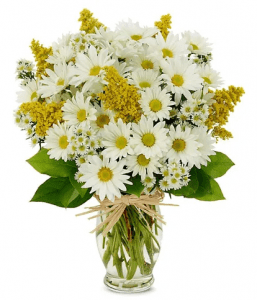 Perfect Fall Daisy Bouquet