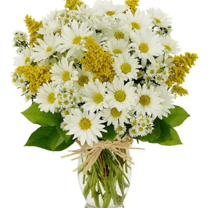 Perfect Fall Daisy Bouquet