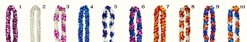Graduation Lei - Double Orchid - Pre-order - Image 3